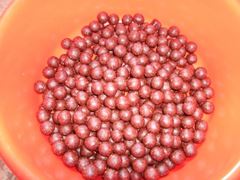 pregatiri